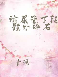 输尿管下段结石 体外碎石