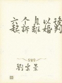 六个月以后再次起诉离婚判离几率