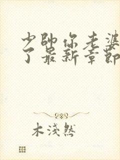 少帅你老婆又跑了最新章节列表