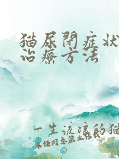 猫尿闭症状最好治疗方法