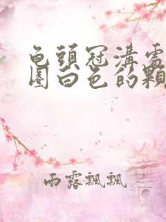 龟头冠沟处有一圈白色的颗粒