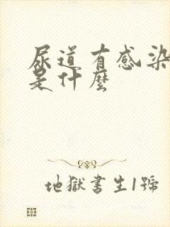 尿道有感染症状是什么