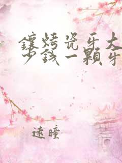 镶烤瓷牙大概多少钱一颗牙