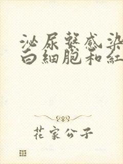 泌尿系感染尿中白细胞和红细胞