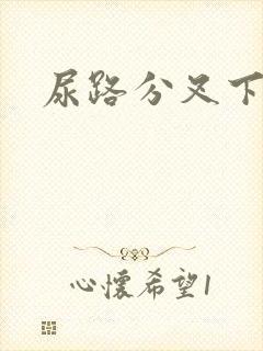 尿路分叉下边痛