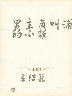 男主角叫浦应辛的小说