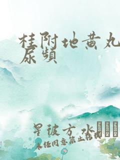 桂附地黄丸吃了尿频