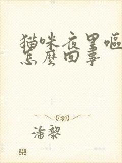 猫咪夜里呕吐是怎么回事