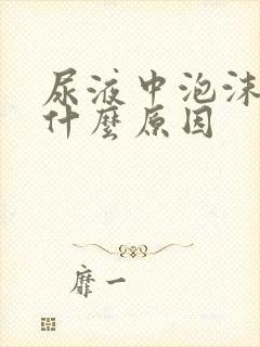 尿液中泡沫多是什么原因