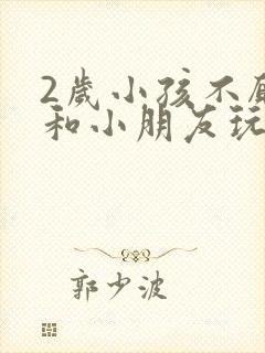 2岁小孩不愿意和小朋友玩