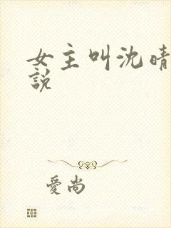 女主叫沈晴的小说