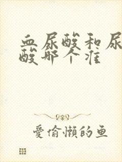 血尿酸和尿液尿酸哪个准