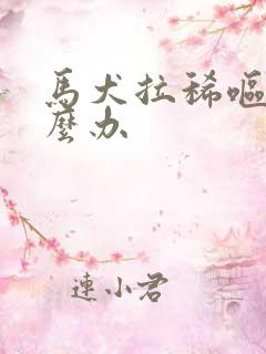 马犬拉稀呕吐怎么办