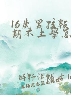 16岁男孩叛逆期不上学怎么办