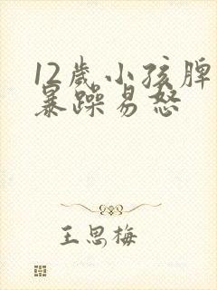 12岁小孩脾气暴躁易怒