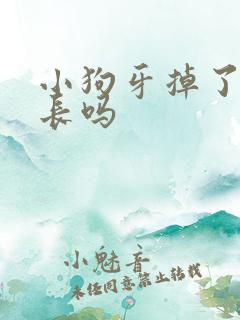 小狗牙掉了还会长吗