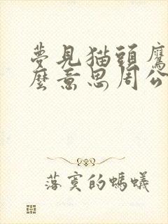 梦见猫头鹰是什么意思周公解梦