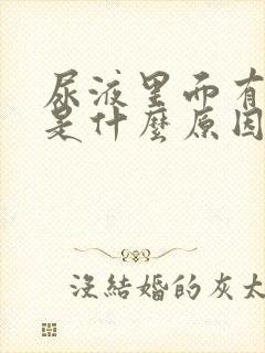 尿液里面有隐血是什么原因