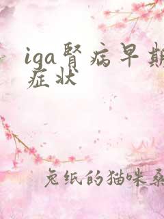 iga肾病早期症状