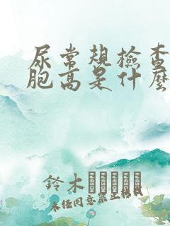 尿常规检查红细胞高是什么意思