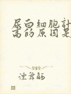 尿白细胞计数偏高的原因是什么引起的