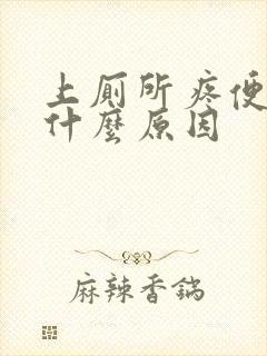 上厕所疼便血是什么原因