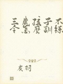 三岁孩子不听指令怎么训练