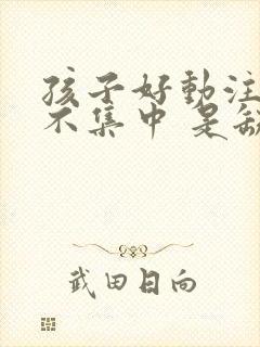 孩子好动注意力不集中 是缺少什么