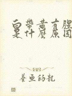 白带黄有腥臭味是什么原因造成的