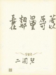 长相思原著小说在哪里可以看