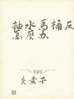 抽水马桶反臭味怎么办