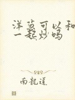 洋葱可以和丝瓜一起炒吗