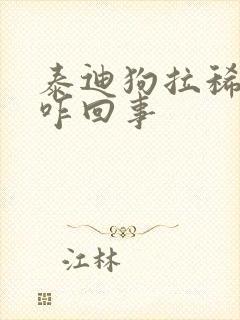 泰迪狗拉稀带血咋回事