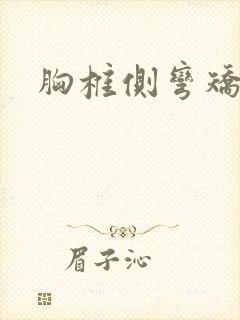 胸椎侧弯矫正法