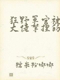 狂野军官被绝美大佬拿捏的小说免费阅读