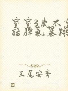 宝宝3岁不会说话脾气暴躁