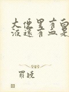 大便里有白色粘液还有血是怎么回事