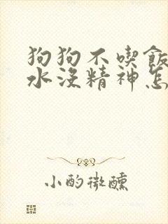 狗狗不吃饭只喝水没精神怎么办