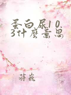 蛋白尿1 0.3什么意思