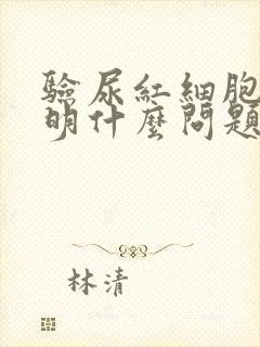 验尿红细胞高说明什么问题