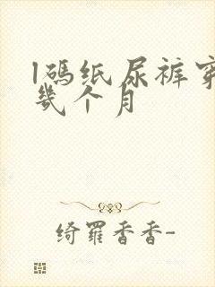 l码纸尿裤穿到几个月