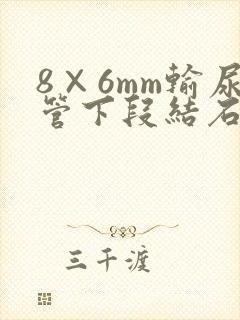 8×6mm输尿管下段结石