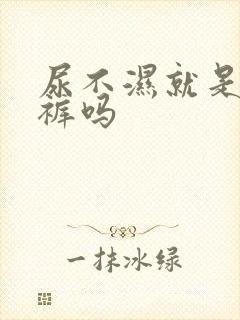 尿不湿就是纸尿裤吗