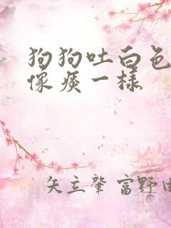 狗狗吐白色粘液像痰一样