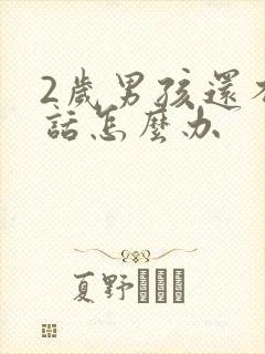 2岁男孩还不说话怎么办