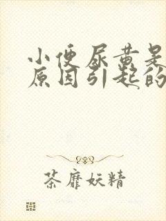 小便尿黄是什么原因引起的