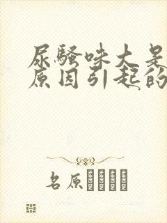 尿骚味大是什么原因引起的