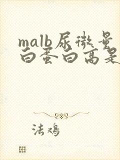 malb尿微量白蛋白高是什么意思