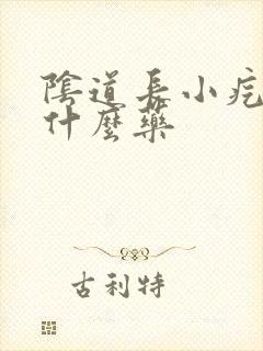 阴道长小疙瘩擦什么药