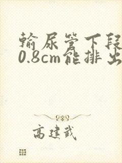 输尿管下段结石0.8cm能排出吗